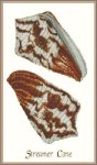 (image for) Shell Streamer Cone